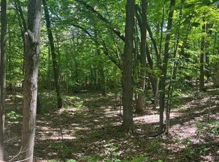 PARCEL N 45th Rd #A, Manton, MI 49663