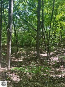 PARCEL N 45th Rd #A, Manton, MI, 49663
