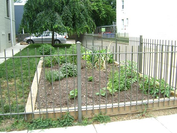 Community Garden