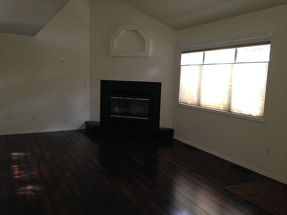 Fireplace & vaulted ceiling.
