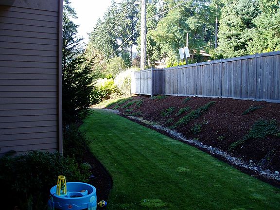 nice back yard