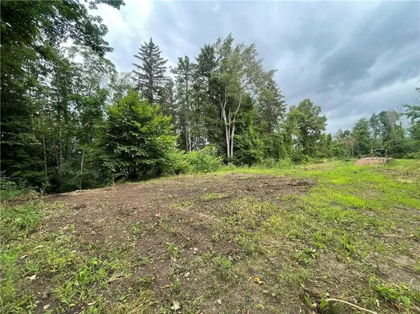0 County Road 6 #1, Phelps, NY 14532