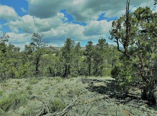 12 Kit Rd, Datil, NM 87821