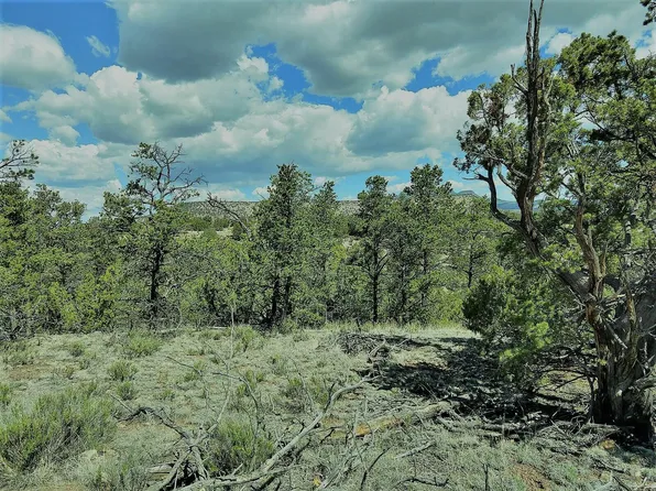 12 Kit Rd, Datil, NM 87821