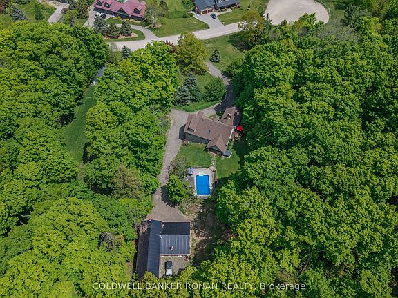 2nd image of 38 Big Tree Cir