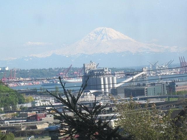 views from living room