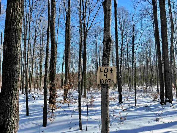 N13064 Limberg Ln #4, Athelstane, WI 54104