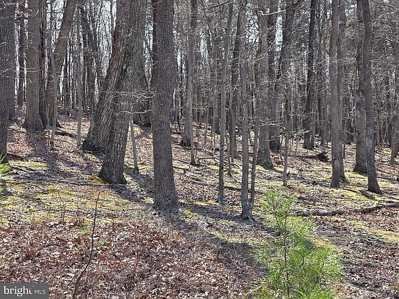 3rd image of Hollybush Ln Lot 3-B