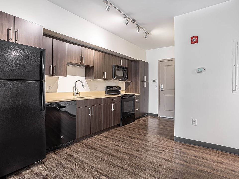 Modern Kitchen Cabinetry
