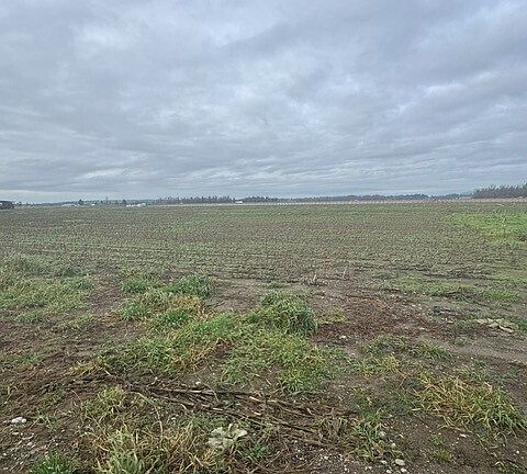 5th image of 1420 Birch Bay Lynden Road