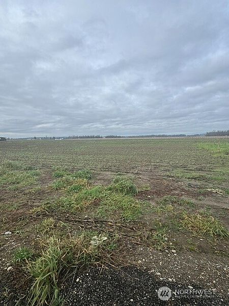 5th image of 1420 Birch Bay Lynden Road