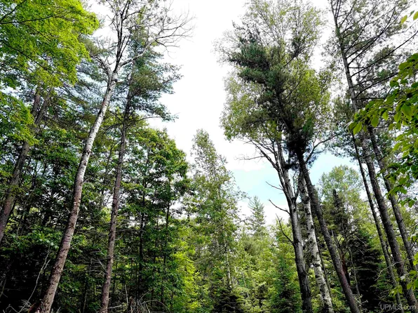 S Westwood Dr, Ishpeming, MI 49849