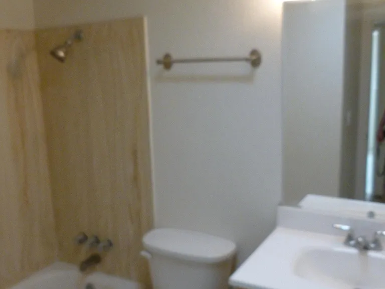 Hall bathroom