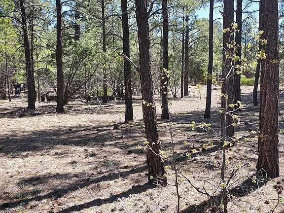 4th image of 4050 W Flax Ln Lot 435