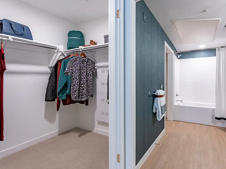 Large Closet and Bathroom
