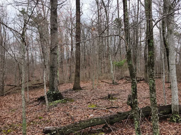 3504 E Fork Rd, Means, KY 40346