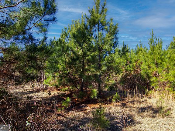 5th image of TRACT Six 0 Chestnut Grove Rd