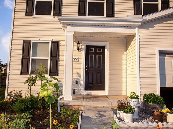 3rd image of 7362 Serenoa Dr