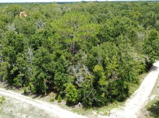 19655 119th Dr, Mc Alpin, FL 32062