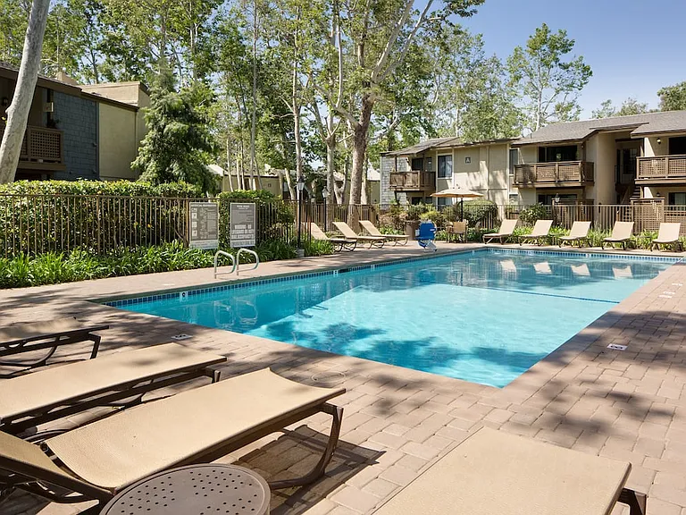 Swimming pool and sundeck