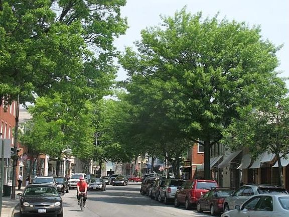 Rye Street