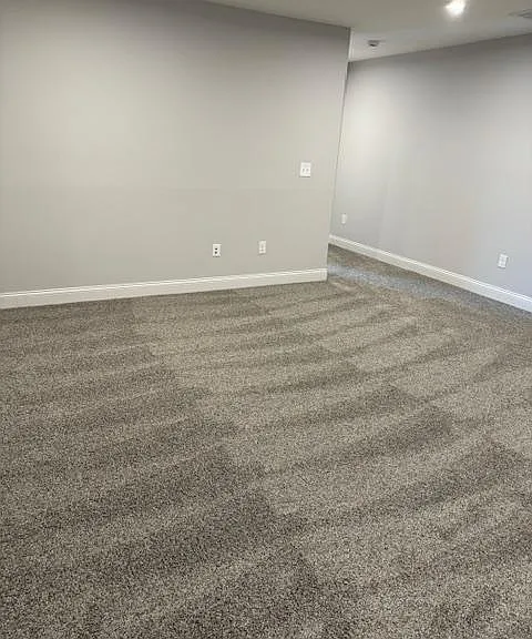Mustang Cir — Photo 15
