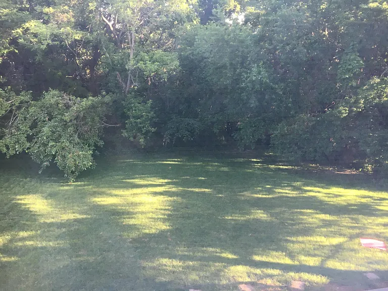 Big open backyard with privacy