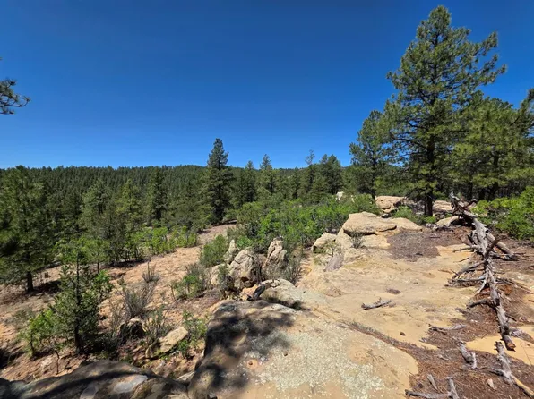 County Road 31.9, Weston, CO 81091