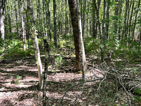 2nd image of #56 S South Waterboro Road