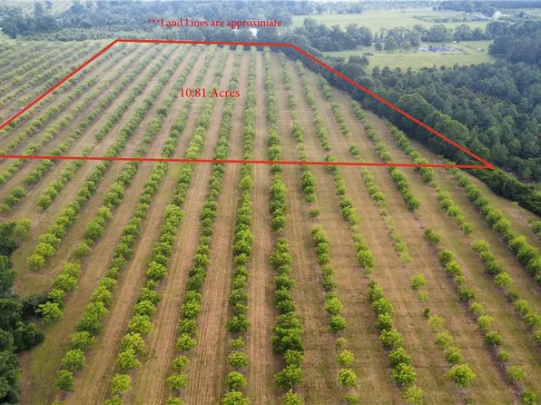 0 Sweat Rd, Alma, GA 31510