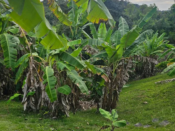 106 Ruta 106, Mayaguez, PR 00680