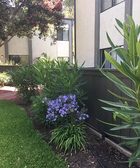 Via Real Apartments — Photo 3