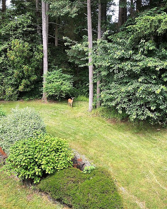 2nd image of 15301 Virginia Point Rd NE