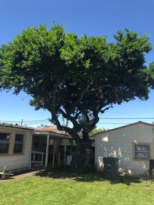 13208 Julian Ave, Lakeside, CA, 92040