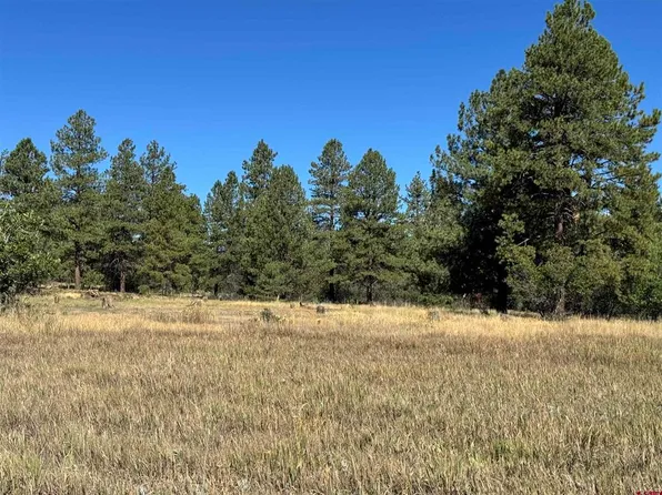139 Coronado Circle, Pagosa Springs, CO 81147