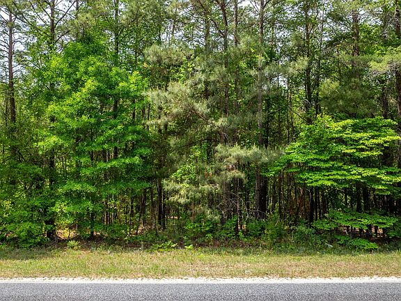 4th image of 99 Hortman Mill Rd