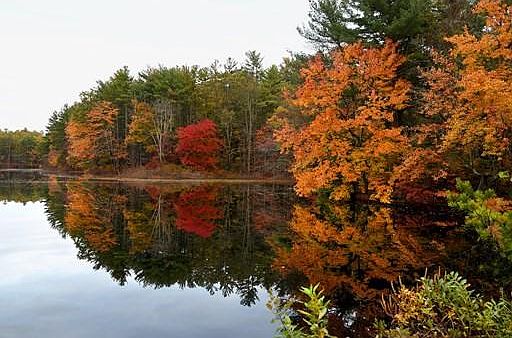 1st image of 13 Lakeside Dr