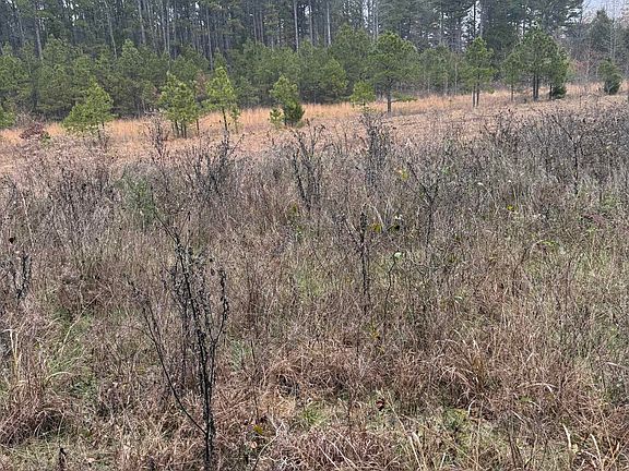 4th image of 1400 Goff Rd