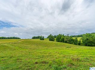 12736 Elk River Mills Rd, Athens, AL 35614