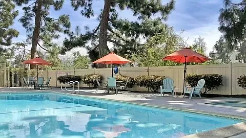 11138 Aqua Vista St #109 — Photo 19