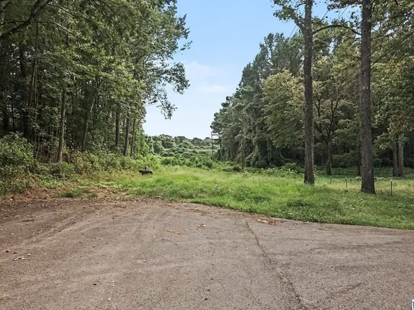 1556 Powder Plant Rd #25-19S-05W, Bessemer, AL 35022