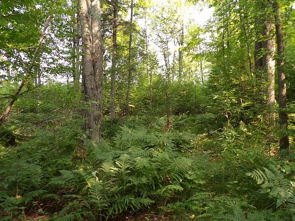 4th image of Off Gruhner Road