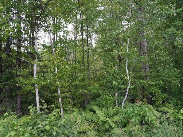 0 West County Road X W, Glen Flora, WI 54526