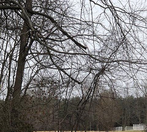 View out the patio door