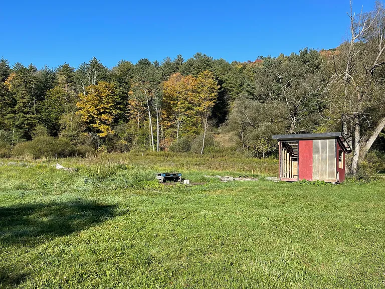 Yard with chicken coop, will be removed