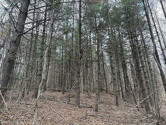 4th image of Tbd Tower Rd