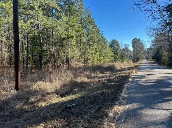 0 Davidson Rd, Harleton, TX 75651