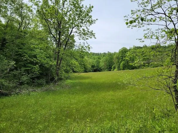 Tbd5 Shortcut Dr Lot 5, Woolwine, VA 24185