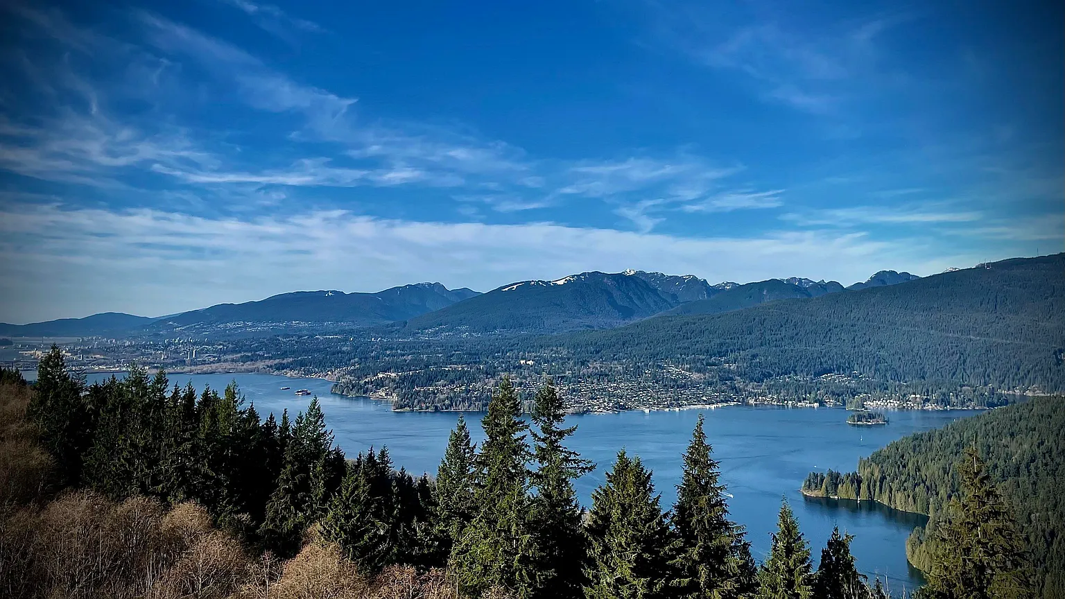 8850 University Cres #805 photo 1