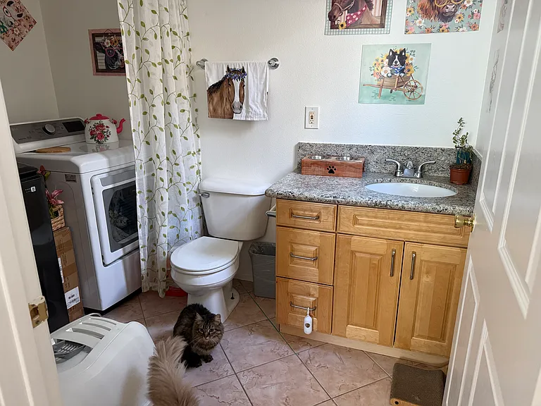 31325 Sloan Canyon Rd — Photo 34
